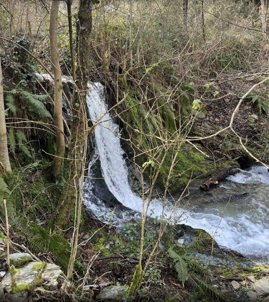 Sentier des Molières